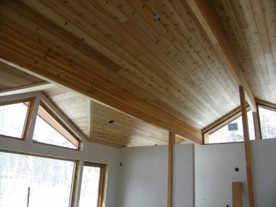 Crested Butte - View - Wood Ceiling and Beams