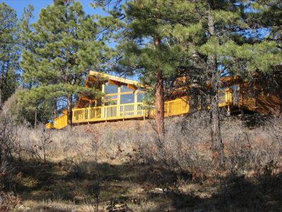 Durango - Classic - Exterior View Through Trees Elevation