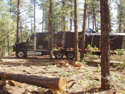 Durango - Classic - Semi Truck with Building Materials